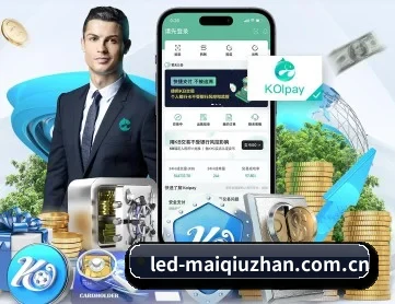买球站 APP
